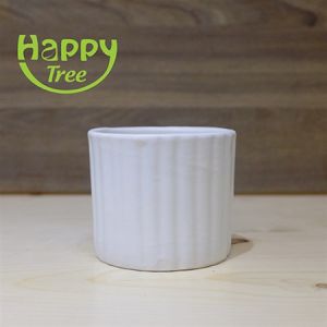 CHẬU MINI